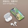Chiline 泫音 DM1